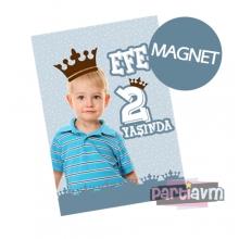 Partiavm Küçük Prens Doğum Günü Süsleri Hediyelik Magnet Kurdeleli Poşetinde 7X10 cm   satın al